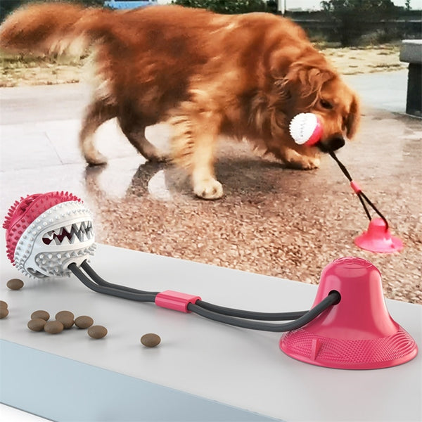 Interactive Dog Suction Cup Tug of War Ball