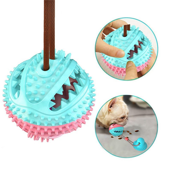 Interactive Dog Suction Cup Tug of War Ball
