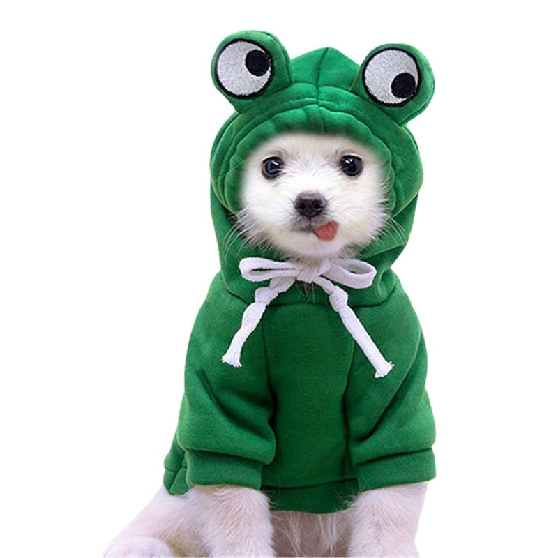 Frog Dog Hoodie