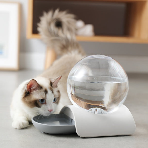 2.8L Fountain Bubble Automatic Pet Water Feeder