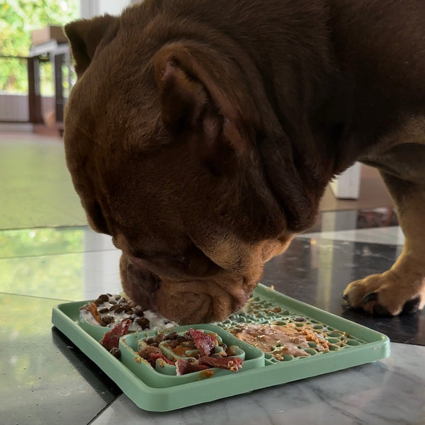 The Ultimate Silicone Dog Licky Mat with Secure Suction Base