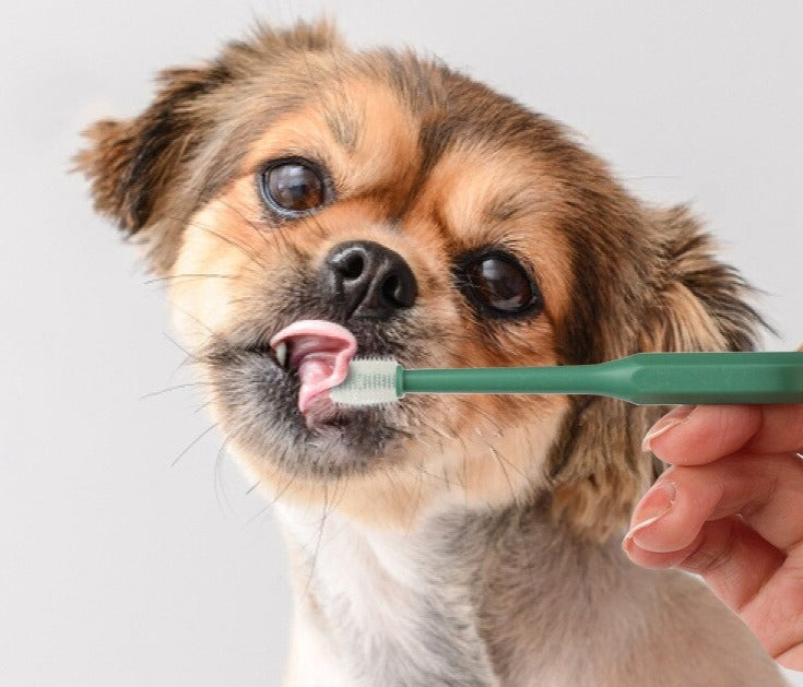 360 Degrees Pet Toothbrush