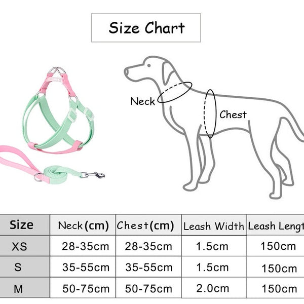Nylon Dog Harness Leash Set - WATERMELON