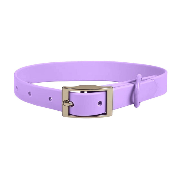 WATERPROOF RUBBERIZED DOG COLLAR AND LEAD - NUDE AND SILVER