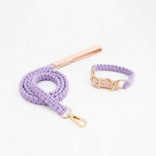 Braided Rope Dog Collar and Lead Set - Soft Pastels