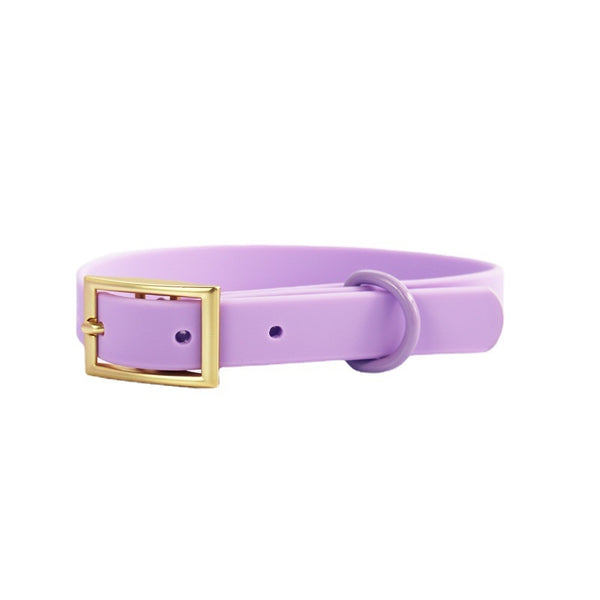 WATERPROOF RUBBERIZED DOG COLLAR AND LEAD - LILAC AND GOLD