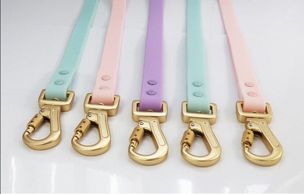 WATERPROOF RUBBERIZED DOG COLLAR AND LEAD - TIFFANY BLUE AND GOLD