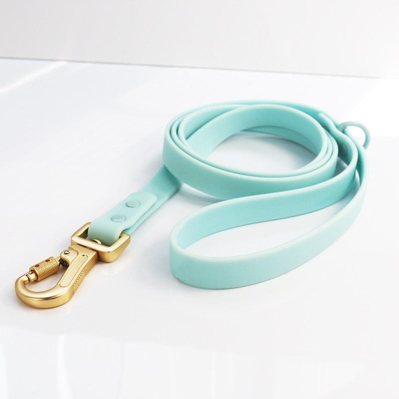 Tiffany dog collar and hot sale leash