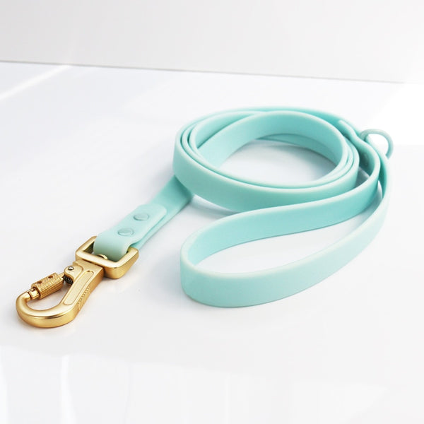 WATERPROOF RUBBERIZED DOG COLLAR AND LEAD - TIFFANY BLUE AND GOLD